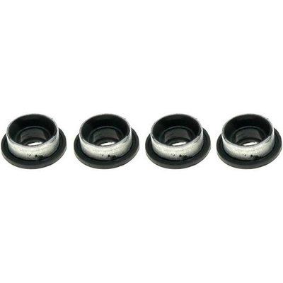 RAYBESTOS - H16129 - Rear Caliper Bushing pa6