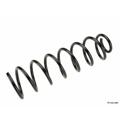 Rear Coil Spring by LESJOFORS - 4204211 pa1