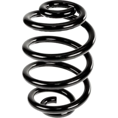 LESJOFORS - 4208432 - Rear Coil Spring pa3