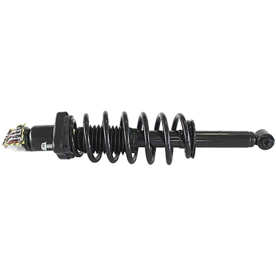 GSP NORTH AMERICA - 811120 - Suspension Strut and Coil Spring Assembly pa2