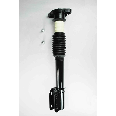 Rear Complete Strut Assembly by WORLDPARTS STRUTS - W1332313 pa1