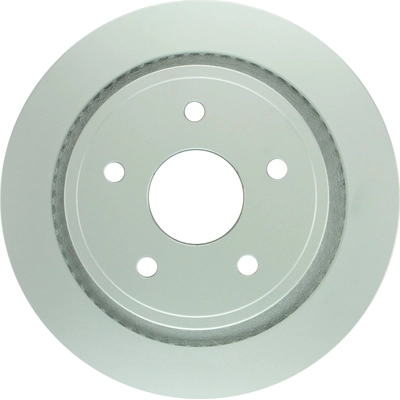 BOSCH - 16010160 - Rear Disc Brake Rotor pa8