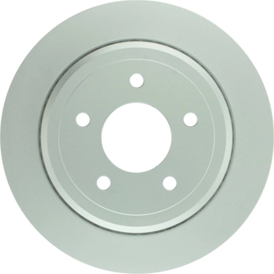 Rear Disc Brake Rotor by BOSCH - 20010344 pa1