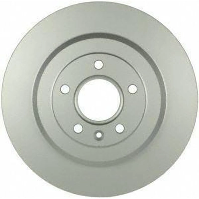 BOSCH - 20010394 - Rear Disc Brake Rotor pa2