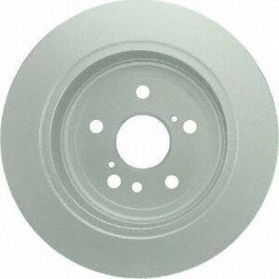 BOSCH - 50011505 - Rear Disc Brake Rotor pa6