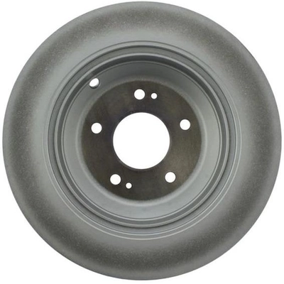 Rear Disc Brake Rotor by CENTRIC PARTS - 320.51031F pa13