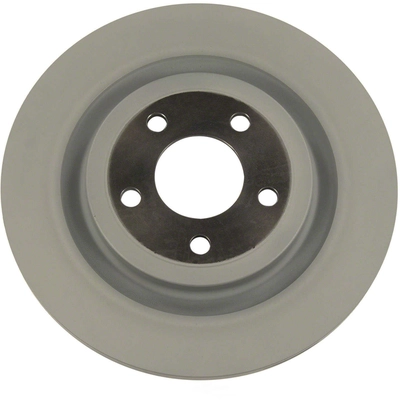 MOTORCRAFT - BRRF404 - Disc Brake Rotor pa1