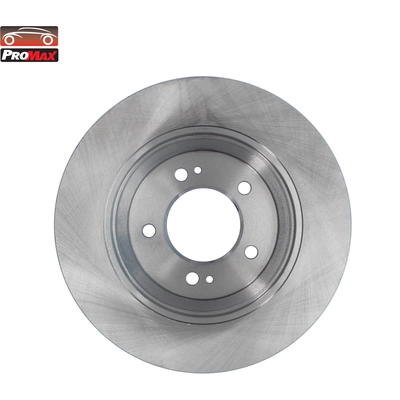 Rear Disc Brake Rotor by PROMAX - 14-610113 pa1