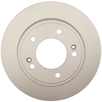 RAYBESTOS - 982143FZN - Rear Brake Rotor pa1