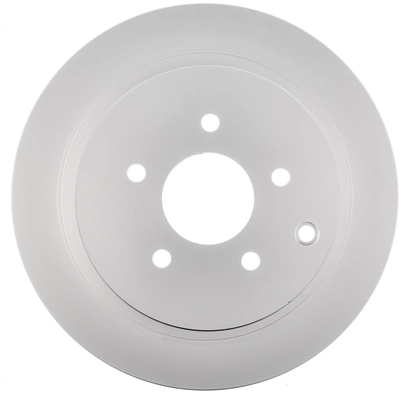 WORLDPARTS - WS1-231348 - Rotor de frein à disque arrière pa1