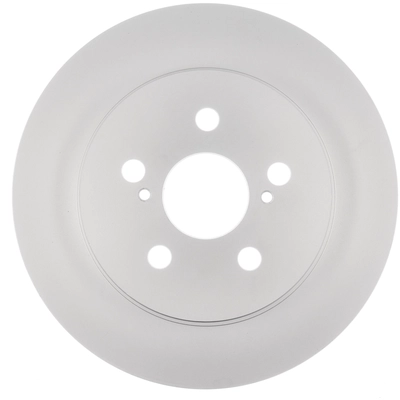 WORLDPARTS - WS1-255159 - Rotor de frein à disque arrière pa1