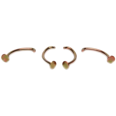 RAYBESTOS - H1119 - Rear Drum Brake Shoe Spring Hold Down Pin Set pa1