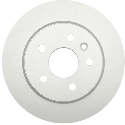 RAYBESTOS - 580769 - Rear Disc Brake Rotor pa1