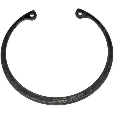 Rear Wheel Bearing Retainer by DORMAN (OE SOLUTIONS) - 933-206 pa2