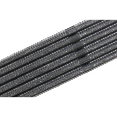 ACDELCO - 12669858 - Serpentine Belt pa2