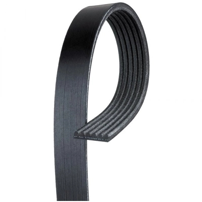 ACDELCO - 6K1015 - Standard V-Ribbed Courroie Serpentine pa1