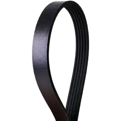 CONTINENTAL - 400K5MK - Mileage Maker Multi V-Belt pa1