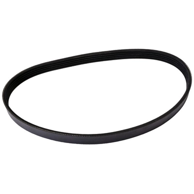 CONTINENTAL - 4040342 - Serpentine Belt - Automotive V-Belt pa1