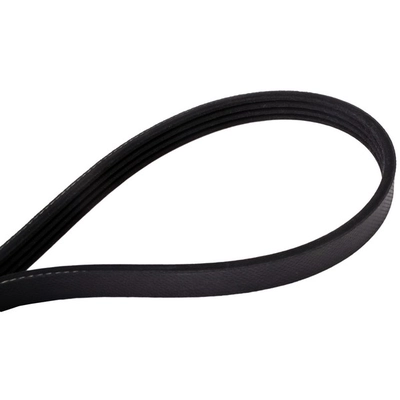 CONTINENTAL - 4040356S - Serpentine Belt - Automotive V-Belt pa2