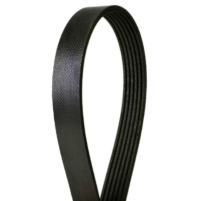 CONTINENTAL - 4060395 - Courroie Serpentine - Automotive V-Belt pa2