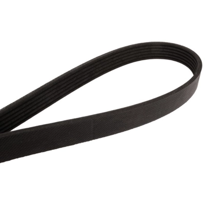 CONTINENTAL - 4060462 - Courroie Serpentine - Automotive V-Belt pa1