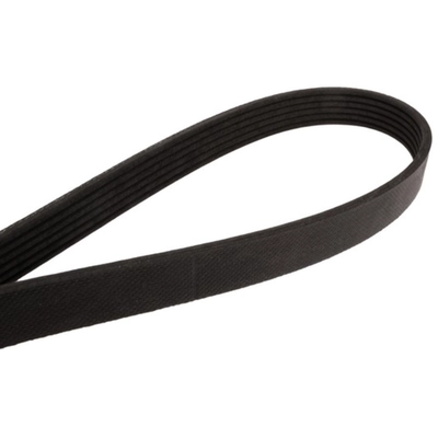 CONTINENTAL - 4060475 - Serpentine Belt - Automotive V-Belt pa2