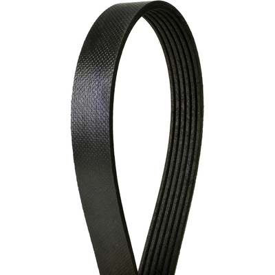 CONTINENTAL - 4060770 - Courroie Serpentine - Automotive V-Belt pa1