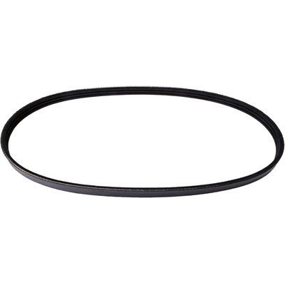 CONTINENTAL - 4060940 - Standard Serpentine Belt pa6