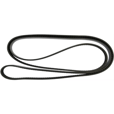 CONTINENTAL - 4070677 - Serpentine Belt - Automotive V-Belt pa1