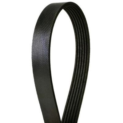 CONTINENTAL - 4070732 - Serpentine Belt - Automotive V-Belt pa1