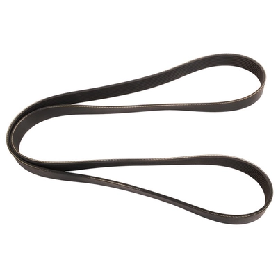 CONTINENTAL - 4081350 - Serpentine Belt - Automotive V-Belt pa1