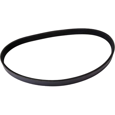 CONTINENTAL - 5PK1010 - Serpentine Belt pa1