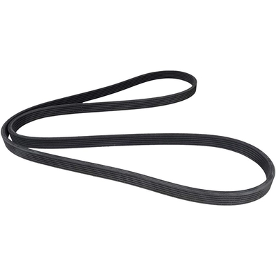 CONTINENTAL - 6DPK1841 - Serpentine Belt pa2