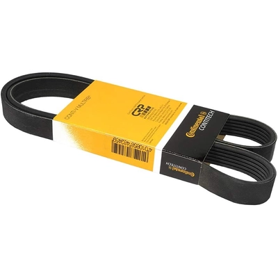 CONTINENTAL - 6PK1165 - Serpentine Belt pa2