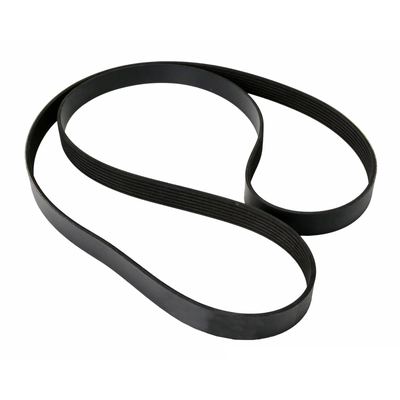 CONTINENTAL - 7PK1270 - Serpentine Belt pa2