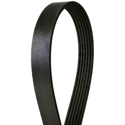 CONTINENTAL - 919K6MK - Mileage Maker Multi V-Belt pa1