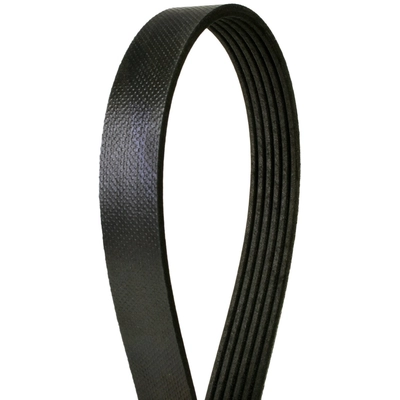 CONTINENTAL - 975K6MK - Mileage Maker Multi V-Belt pa1