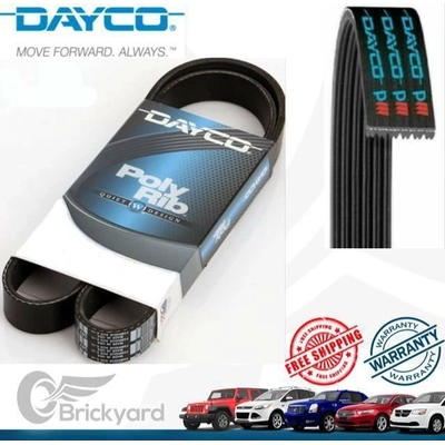 Serpentine Belt by DAYCO - 5040439 pa9