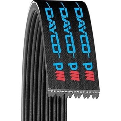 DAYCO - 5070810 - Serpentine Belt pa6