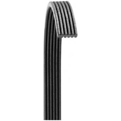 Serpentine Belt by DAYCO - 6070535 pa4