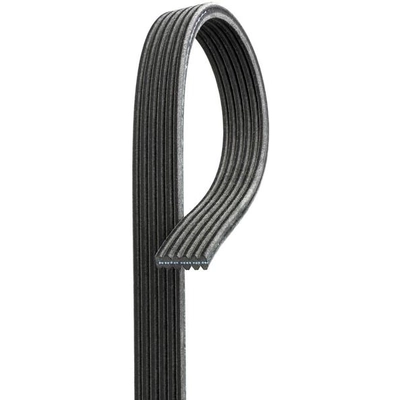 GATES - DK060725 - Serpentine Belt pa3