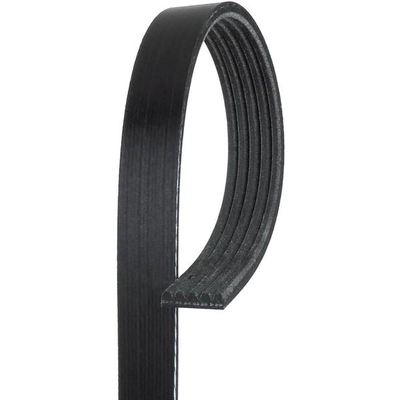 GATES - K050438 - Serpentine Belt pa4