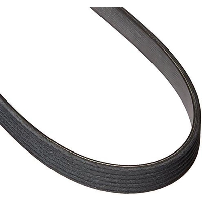 Serpentine Belt by MOTORCRAFT - JK6-1004B pa6