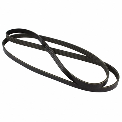 Serpentine Belt by MOTORCRAFT - JK6-881B pa3