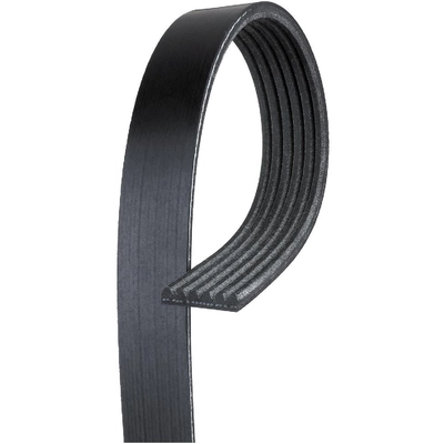 ROAD MAX - 6K815AP - Serpentine Belt pa1