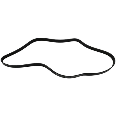 SKP - SK060563A - Serpentine Belt Anti-Slip Shield pa1