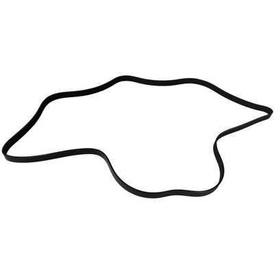 SKP - SK060854 - Serpentine Belt Anti-Slip Shield pa1