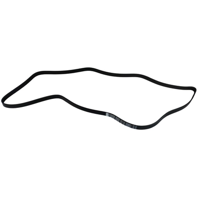 SKP - SK060908 - Serpentine Belt Anti-Slip Shield pa1