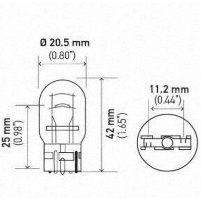 Stop Light (Pack of 10) by HELLA - 7443 pa12