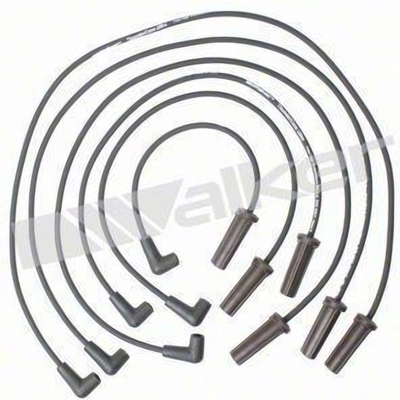 Tailored Resistor Ignition Wire Set by WALKER PRODUCTS - 924-1363 pa3